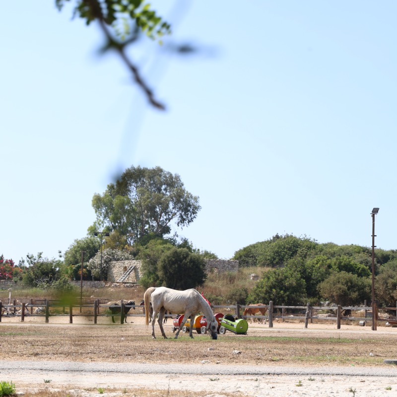 The farm at Batroun Village Club